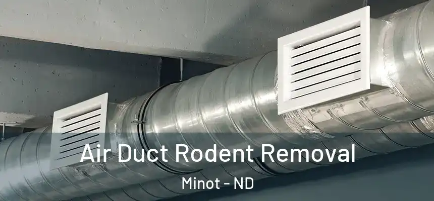  Air Duct Rodent Removal Minot - ND