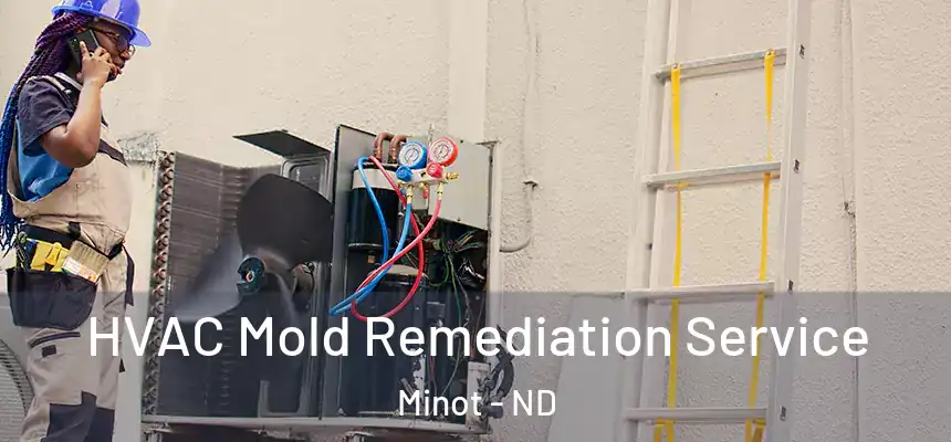  HVAC Mold Remediation Service Minot - ND