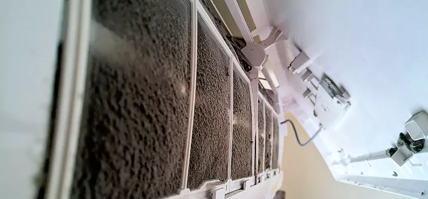 Preventive Air Duct Bacteria Removal in Minot