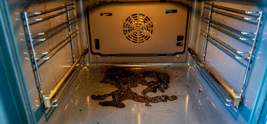 Our Dryer Vent Mold Cleaning Services in Minot, ND