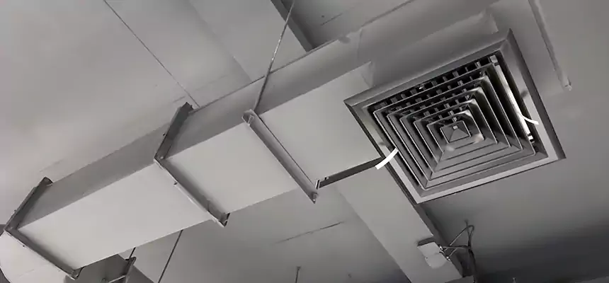 Our Pest Removal From Ducts Services in Minot, ND