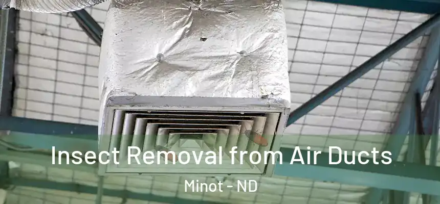 Insect Removal from Air Ducts Minot - ND