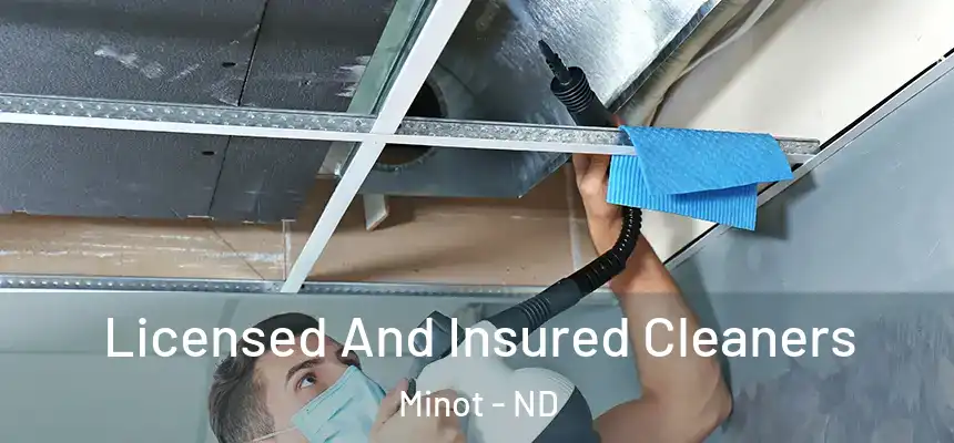 Licensed And Insured Cleaners Minot - ND