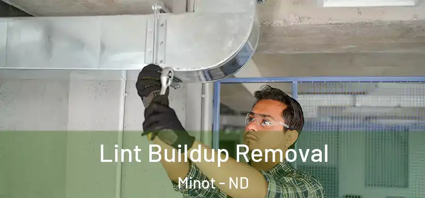  Lint Buildup Removal Minot - ND