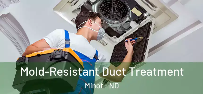  Mold-Resistant Duct Treatment Minot - ND