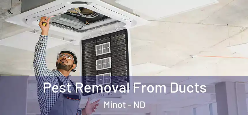 Pest Removal From Ducts Minot - ND
