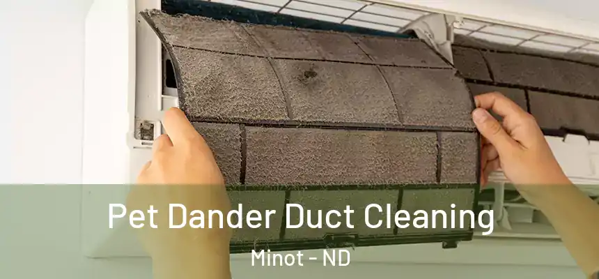  Pet Dander Duct Cleaning Minot - ND