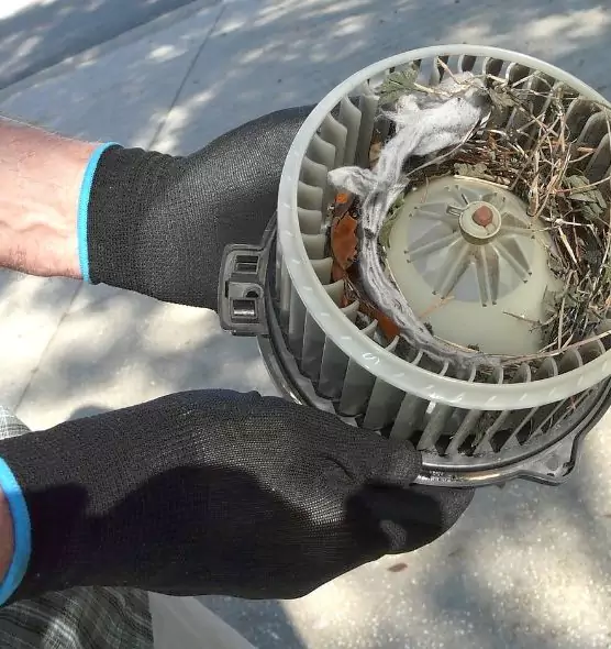 About Air Duct Mice Removal in Minot, ND