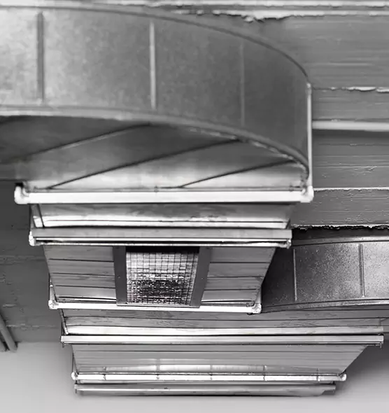 Professional Air Duct Pet Hair Removal in Minot, ND