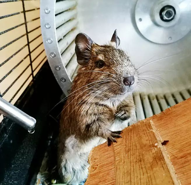 Why Homeowners & Businesses Trust Us Minot, ND?