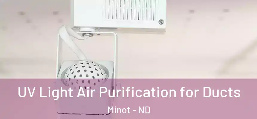  UV Light Air Purification for Ducts Minot - ND